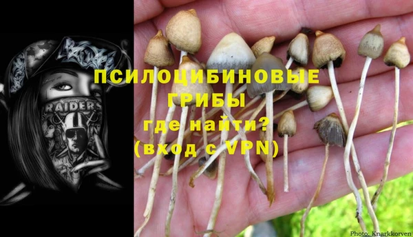 стафф Белоозёрский