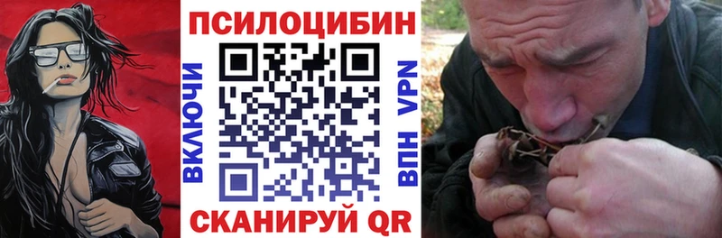 KRAKEN рабочий сайт  Дальнегорск  Псилоцибиновые грибы мицелий  цена наркотик 
