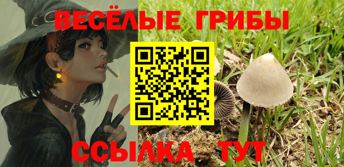 Дальнегорск  хочу наркоту  Галлюциногенные грибы мицелий  Вход с VPN  Псилоцибиновые грибы MAGIC MUSHROOMS 