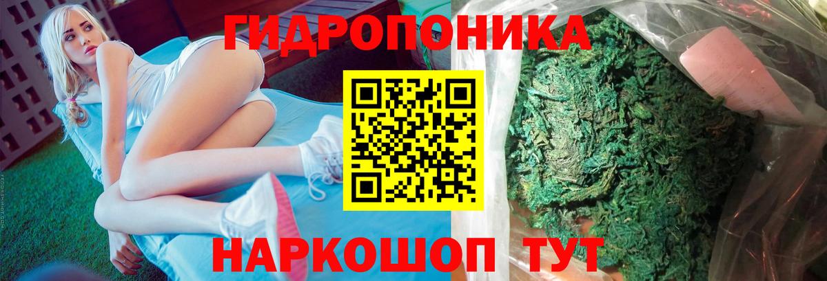 Конопля план Дальнегорск